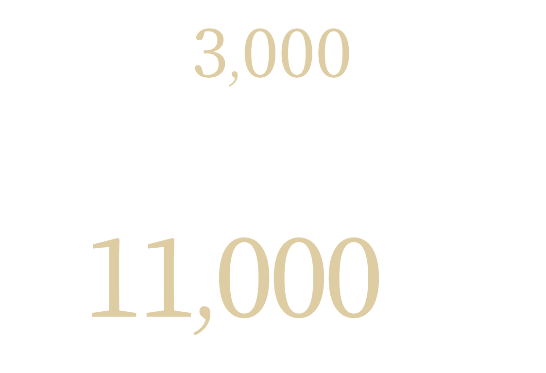 限定3,000セット 加賀美ハヤト オリジナル限定パッケージ 各11,000円(送料・税込)(セット内容:赤1本、白1本、ロゼ1本、オリジナルワイングラス1個)