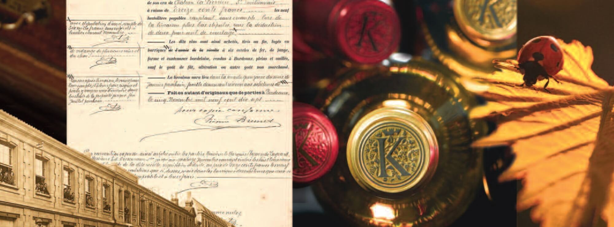 加賀美ハヤト ボルドーワインについて